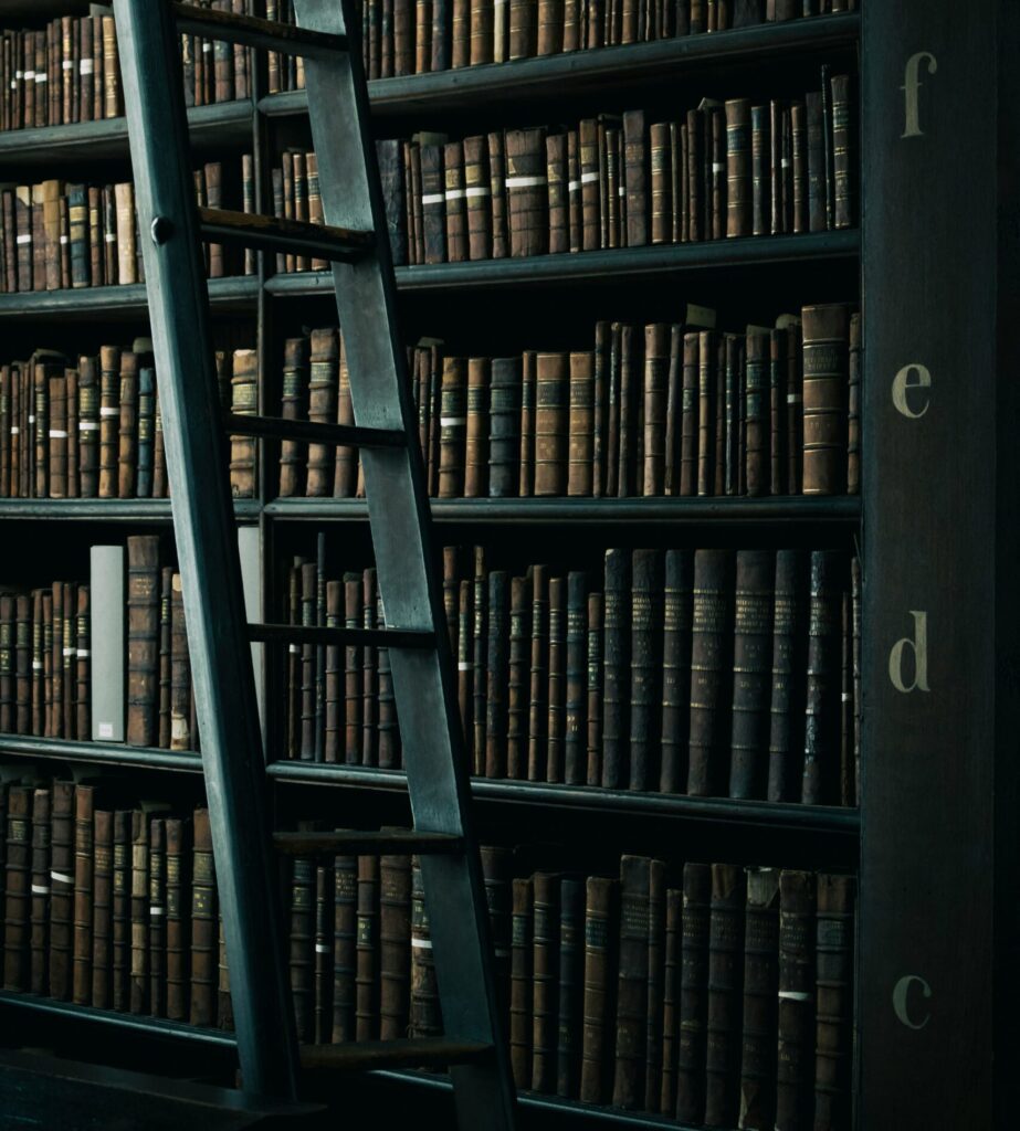 Mange bøker i bokhylle med en stige foran - illustrerer "Universitet som ikke vil tilrettelegge"